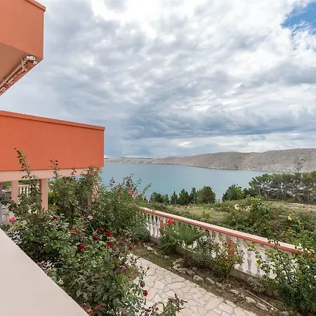 Apartments Andelo Vlasici